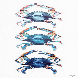 Three Crabs Watercolor by Michelle Mospens