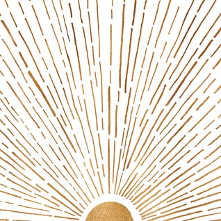 Let The Sunshine In by Modern Tropical