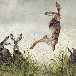 Hijinx by Maggie Vandewalle