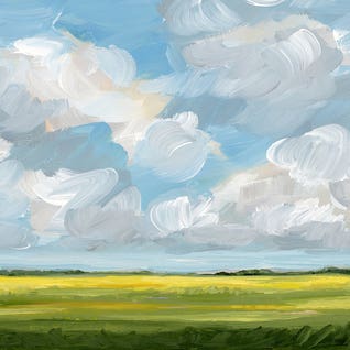 Clouds And Canola by Nicole Walsh