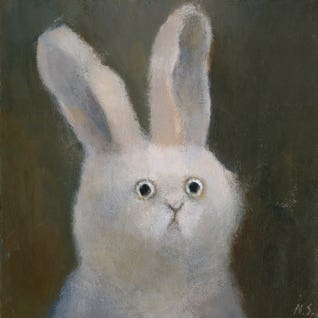 Rabbits Feature - Spring Categories