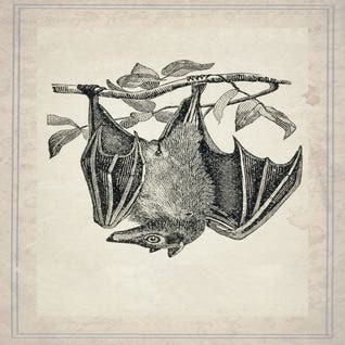 Bats Square