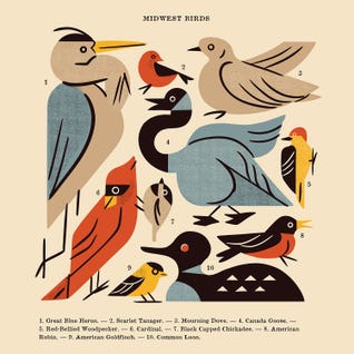 Midwest Birds Guide by Renea L. Thull