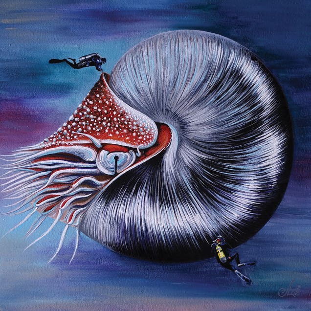 After A Million Years Of Evolution by Anna Shabalova