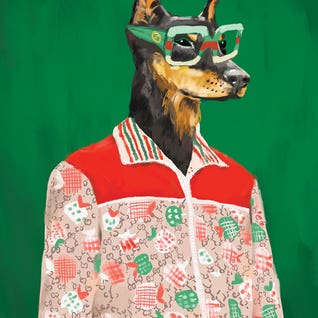 Fashion Feature Canvas CLP