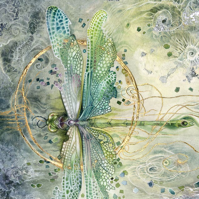 Transition by iCanvas Artist Stephanie Law