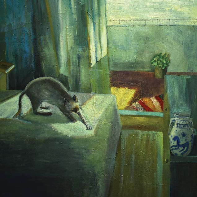 Cat Stretching by Susana Mata