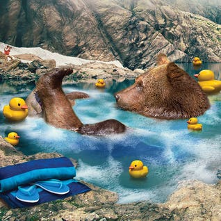 Imagination Feature Summer