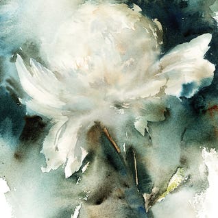 White Peony by Sophie Rodionov