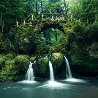 Green Heaven by Stefan Hefele