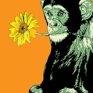 Trending Categories HP - Street Art