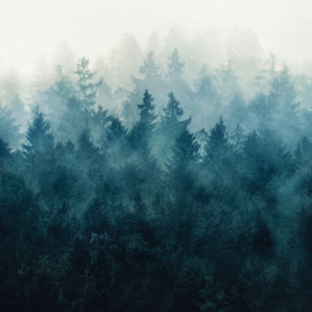 The Heart Of My Heart I by Tordis Kayma