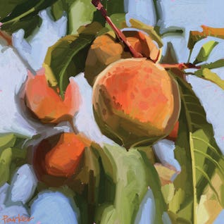 Fruits Feature - Spring Categories