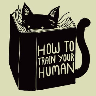 Literature Art