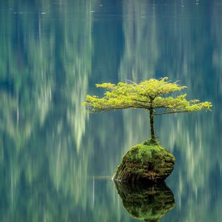 FIne Art Photography Square
