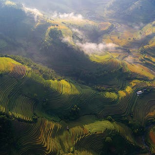 Rice Terrace in Shunshine by Trung Pham