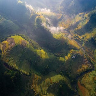 Rice Terrace in Shunshine by Trung Pham