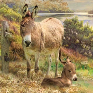 Donkey Art