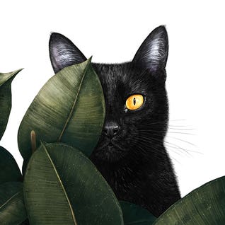 Black & White & Green Art