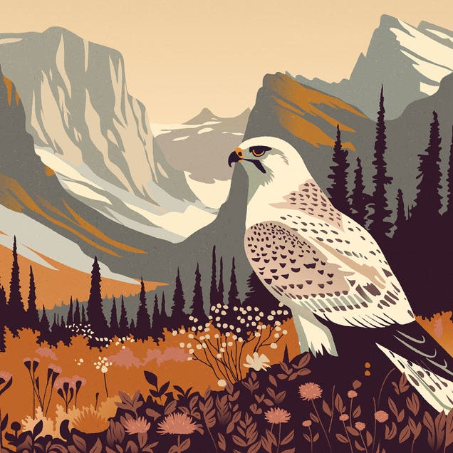 Glacial Spirit by Sterre Verbokkem