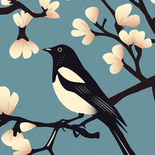 Spring Blossom by Sterre Verbokkem