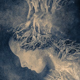 Dark Portrait I by Viviana Gonzalez