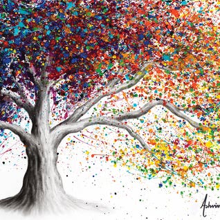 The Colour of Dreams by Ashvin Harrison