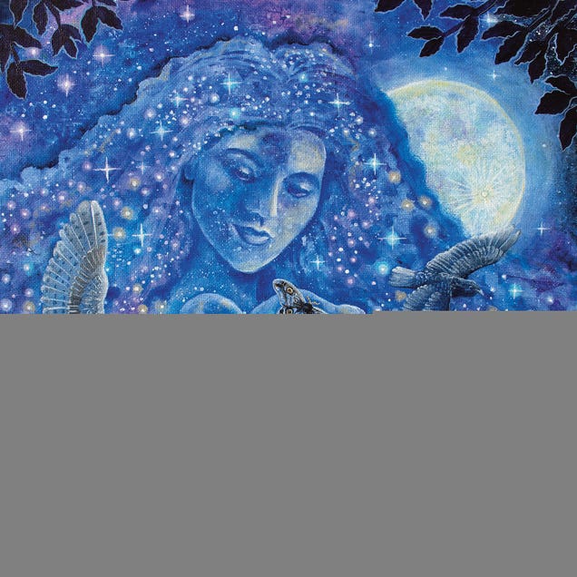Call Of The Night by Verena Wild