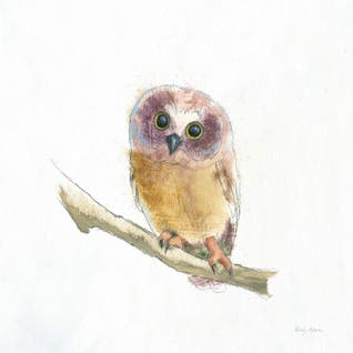 Owl Art