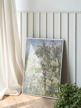 1-canvas-care-banner