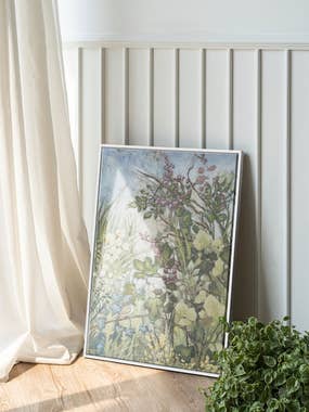 1-canvas-care-banner