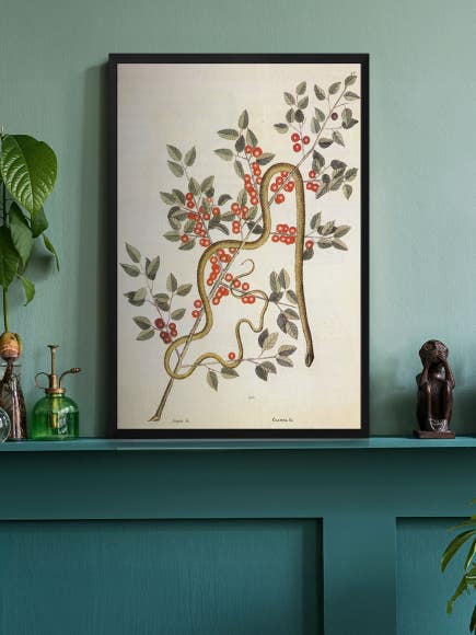 New Gallery Posters - RO167