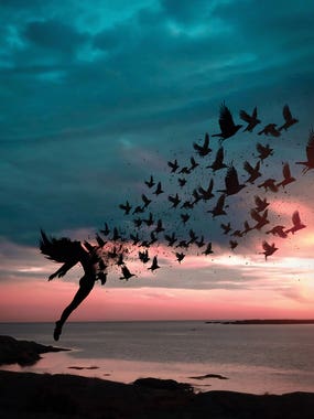 Freedom by iCanvas Artist Abdullhiah Evindar