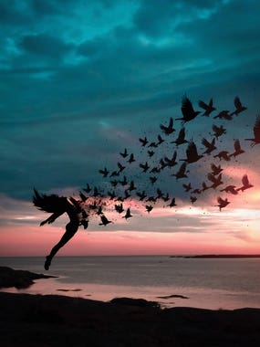 Freedom by iCanvas Artist Abdullhiah Evindar