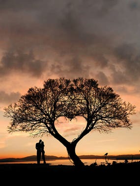 Tree And Heart by iCanvas Artist Abdullhiah Evindar