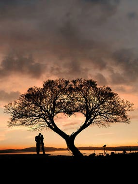Tree And Heart by iCanvas Artist Abdullhiah Evindar