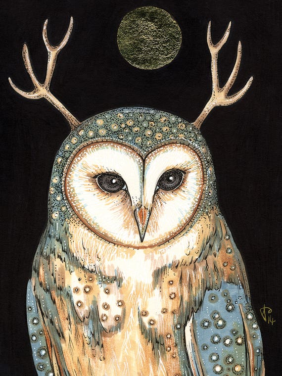 Owl Spirit by Anita Inverarity