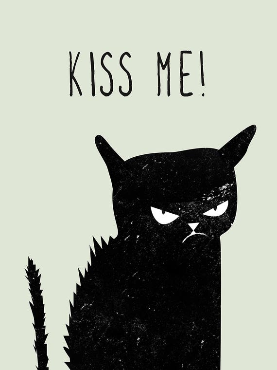 Kiss Me Cat by Amy & Kurt Berlin