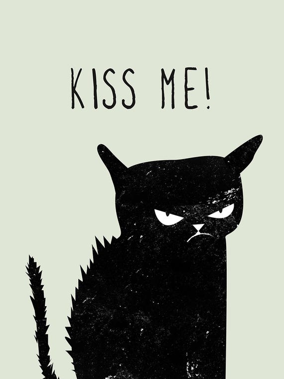 Kiss Me Cat by Amy & Kurt Berlin 