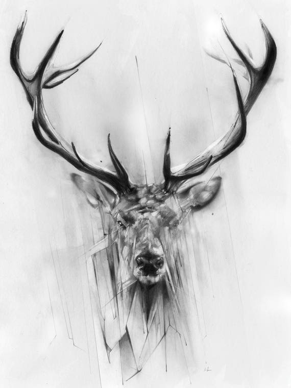 Red Deer by Alexis Marcou