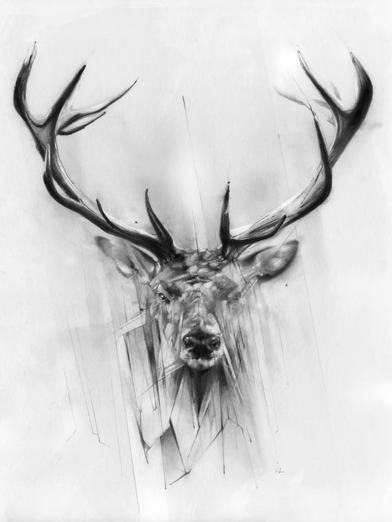 Red Deer by Alexis Marcou