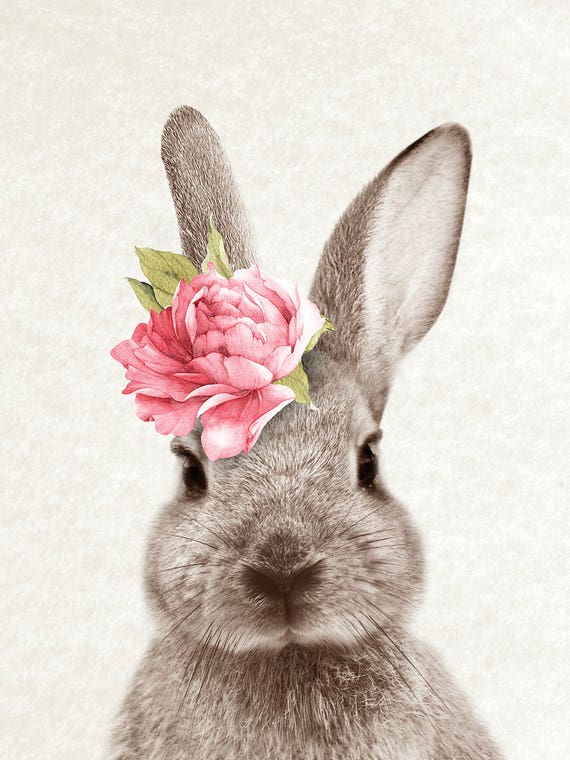 Bunny by Amelie Vintage Co