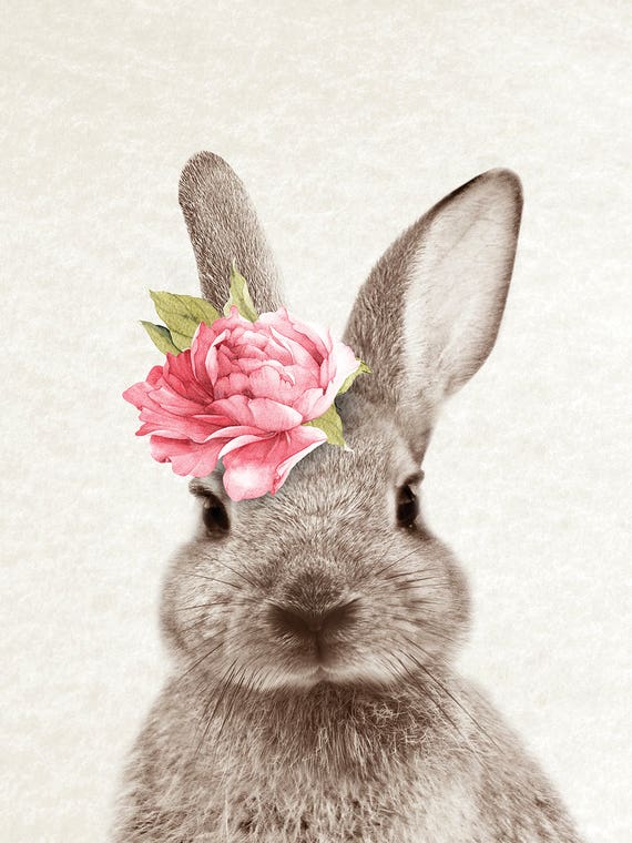 Bunny by Amelie Vintage Co 