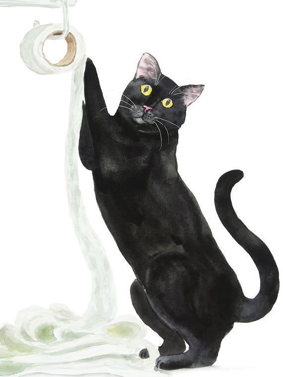 Black Cat And Toilet Paper by Alexey Dmitrievich Shmyrov
