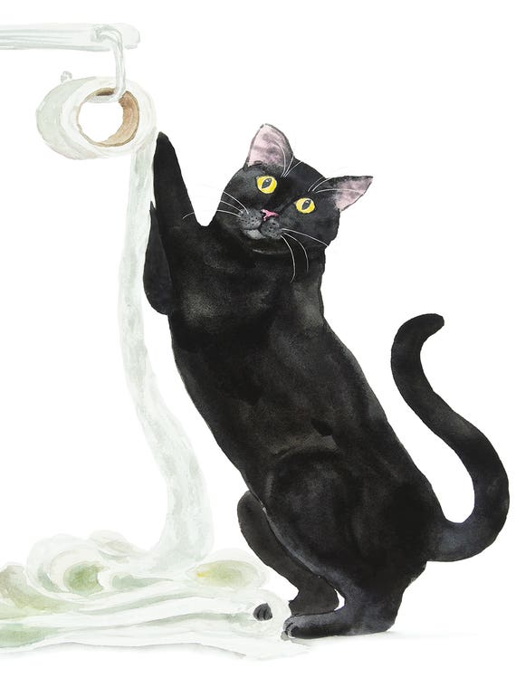 Black Cat And Toilet Paper by Alexey Dmitrievich Shmyrov