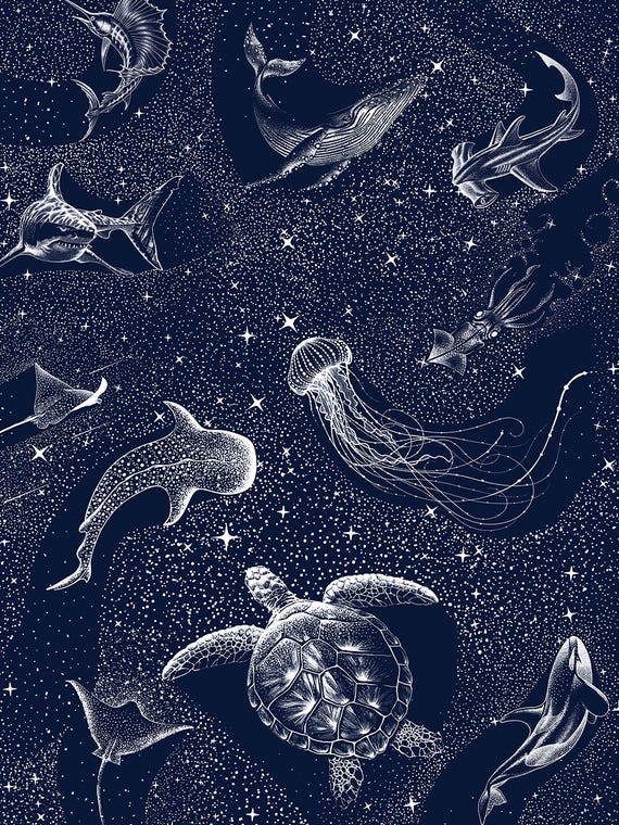 Cosmic Ocean by Aliriza Cakir