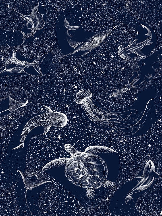 Cosmic Ocean by Aliriza Cakir