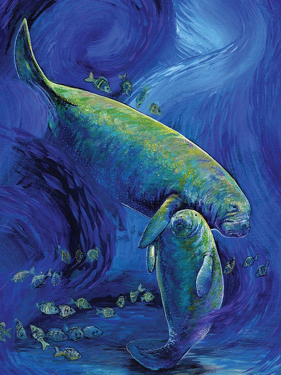 Manatee Mother And Child by Amanda Zirzow