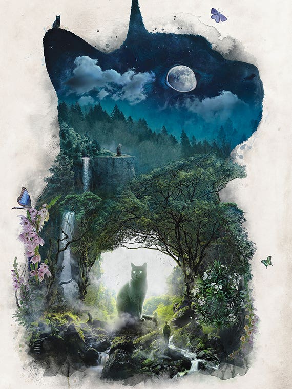 The Realm Of Cats by Barrett Biggers
