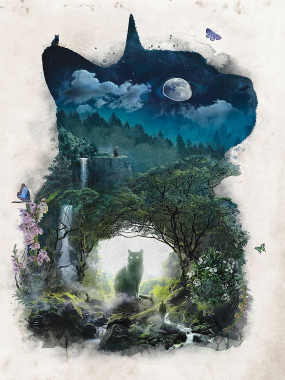 The Realm Of Cats by Barrett Biggers